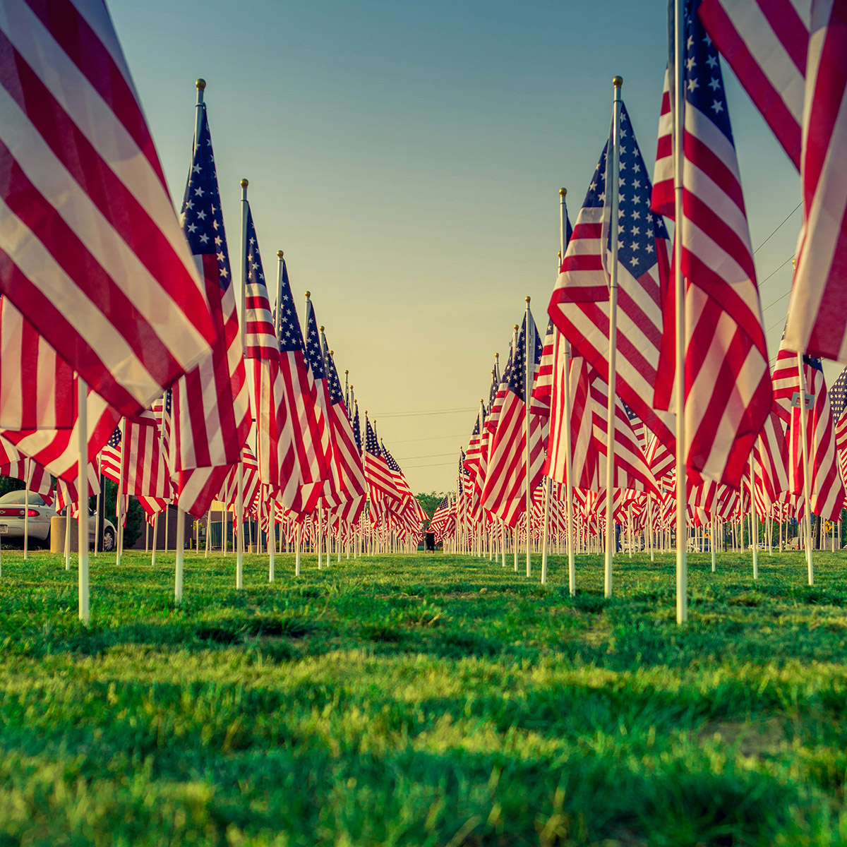 CCD veterans field of American flags
