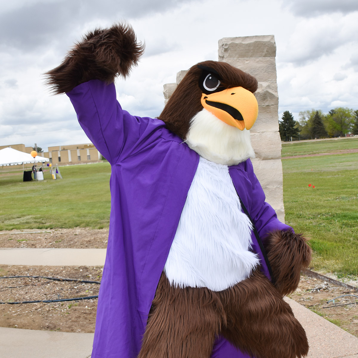 CCD mascot, Swoop, wearing a graduation gown and cheering