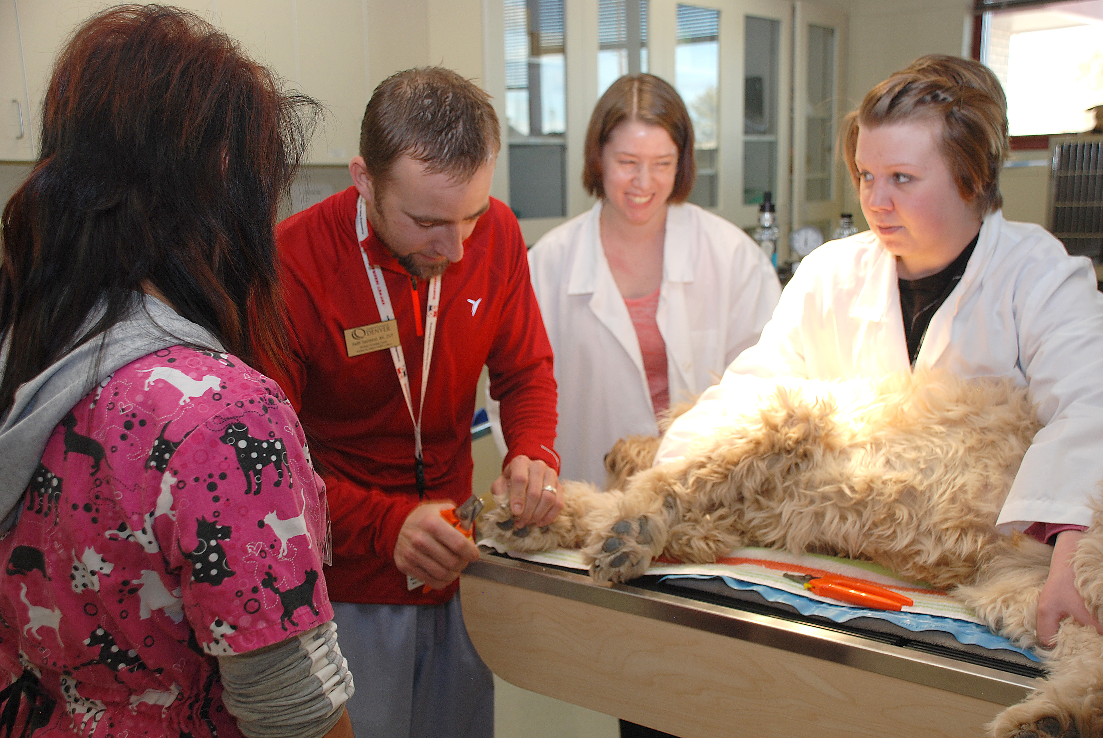 HS Vet Tech Program JPG Community College Of Denver