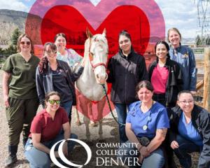 Vet Tech Students posing with a white horse. CCD logo. Heart around horse.