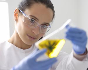science student looking at a cannabis leaf inside a beaker